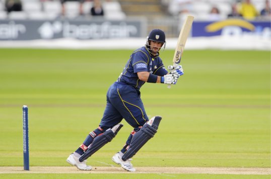 Former Durham opener Michael di Venuto has been named as Australia's new batting coach.