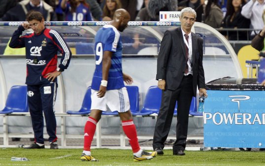 France manager Raymond Domenech has expressed his disdain for Nicolas Anelka, claiming that he