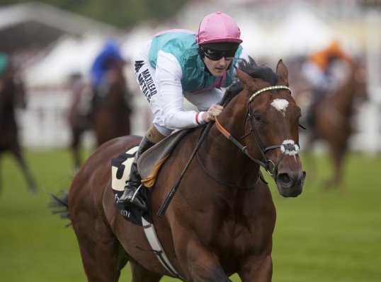Frankel is an equine superstar, the likes of whom we are unlikely to see again.