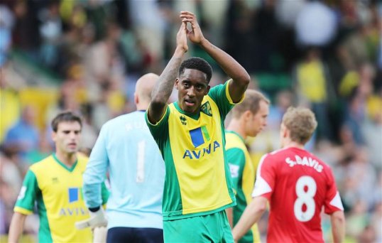 Norwich City midfielder Leroy Fer has admitted he pulled at Stoke City's Kenwyne Jones during their Premier League clash at the Britannia Stadium.