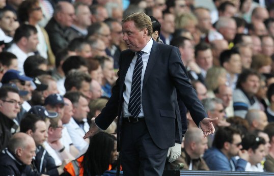 Tony Fernandes believes Harry Redknapp is the man to keep Queens Park Rangers in the Premier League.