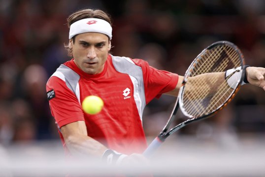 David Ferrer won the Paris Masters beating Jerzy Janowicz in straight sets.