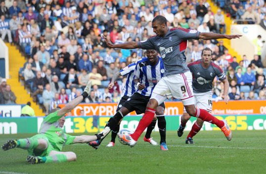 Dougie Freedman believes a fully-committed David N’Gog can be a major asset to Bolton Wanderers’ performances.