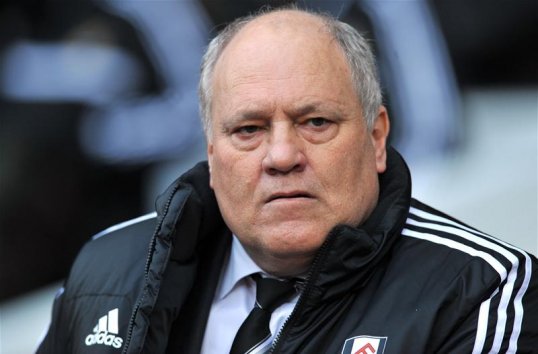 Martin Jol has been sacked by Fulham with the Cottagers sitting in the Premier League relegation zone.