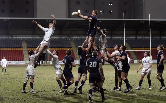 Glasgow Warriors flanker Robert Harley has been handed a debut start for Scotland at Murrayfield in Saturday's Six Nations game against Italy.