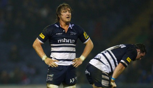 Sale back-row Andy Powell could be side-lined for seven weeks with a cheekbone injury.