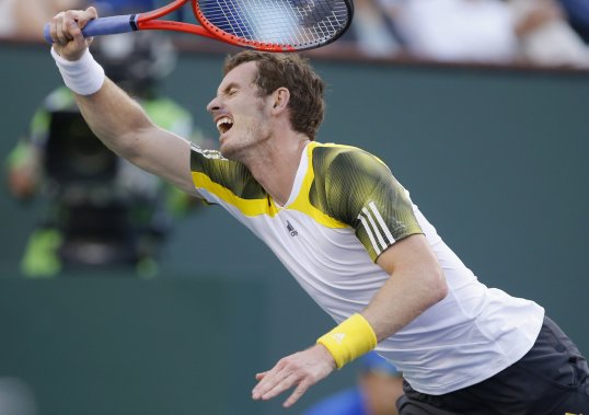 Andy Murray has admitted he struggled with his serve during his defeat to Juan Martin Del Potro in the Indian Wells quarter-finals.