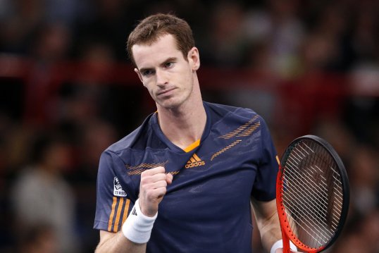 Andy Murray had a straight sets victory over Paul-Henri Mathieu in the Paris Masters.