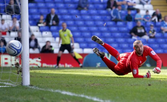 Boaz Myhill does not expect to become West Bromwich Albion’s first-choice goalkeeper.