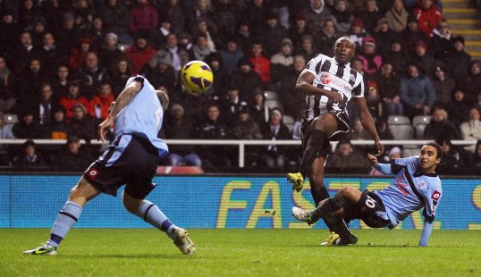 A late Shola Ameobi gave Newcastle United three points to take them away from the drop zone in a 1-0 victory over Queens Park Rangers.