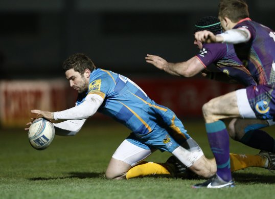 A relentless performance by Nick Robinson secured London Wasps a European Challenge Cup