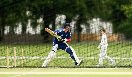 England batsman Kevin Pietersen has been named in the 14 man Twenty20 squad for the two Test series against New Zealand.