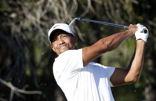 World number one Tiger Woods came alive at the Turkish Airlines Open on Friday with a dazzling display of shot-making and putting to card a course record and sit a stroke off the halfway lead.