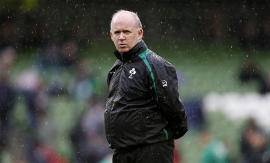 Two former Ireland rugby union players have called for coach Declan Kidney to step down after the Six Nations.