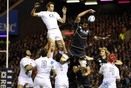 Scotland head coach Andy Robinson has named seven uncapped players in his 34-man squad for the autumn Test with New Zealand.