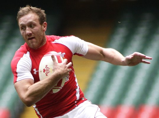 Scarlets and Wales fullback Morgan Stoddart had been forced to retire after failing to recover from an injury.