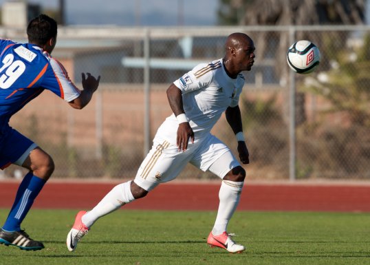 Brighton and Hove Albion have signed Swansea City striker Leroy Lita on loan.