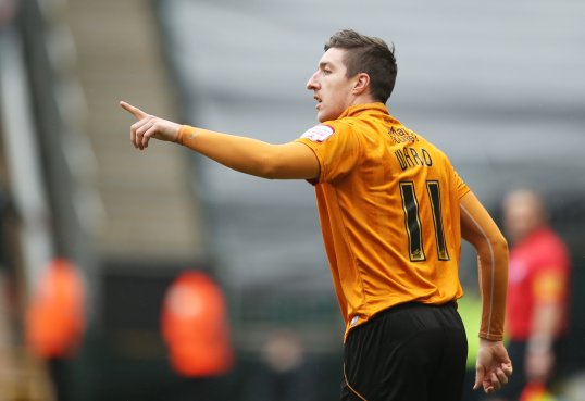 Brighton and Hove Albion have signed Wolverhampton Wanderers defender Stephen Ward on a season-long loan.