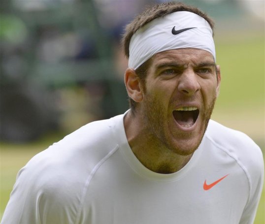 World number eight Juan Martin del Porto came back from injury to crush David Ferrer in the Wimbledon quarter-finals.